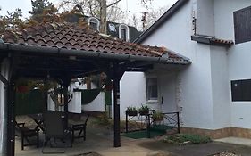 Palić Libero